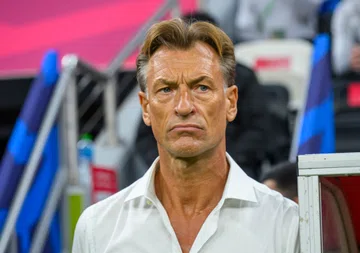 Hervé Renard Retorna ao Comando da Costa do Marfim Após Título Africano